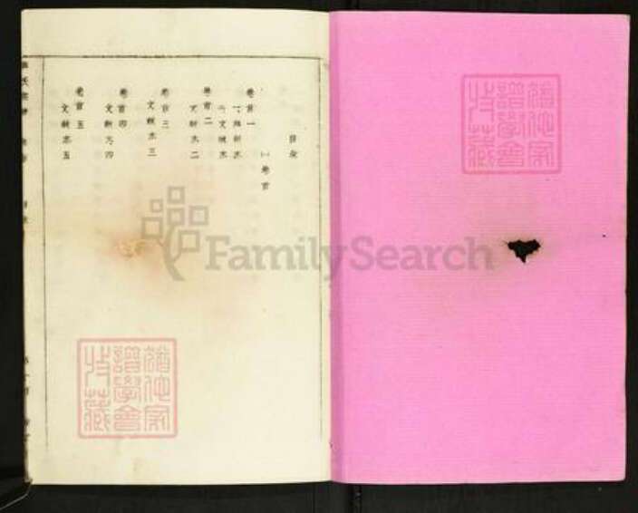 湖北省黄冈市英山县傅氏敦文堂族谱-英山傅氏宗谱.pdf电子版预览图1