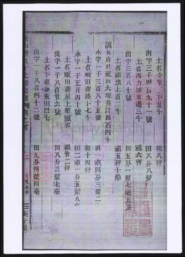 浙江省金华市傅氏族谱-东山傅氏十七修宗谱.pdf电子版预览图3