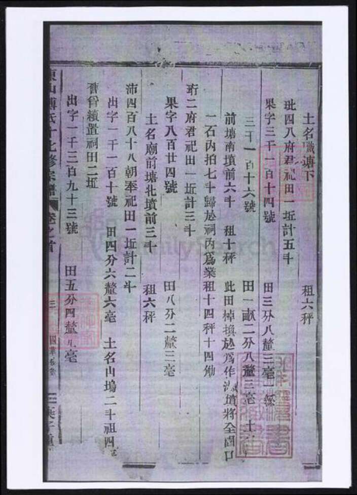 浙江省金华市傅氏族谱-东山傅氏十七修宗谱.pdf电子版预览图5