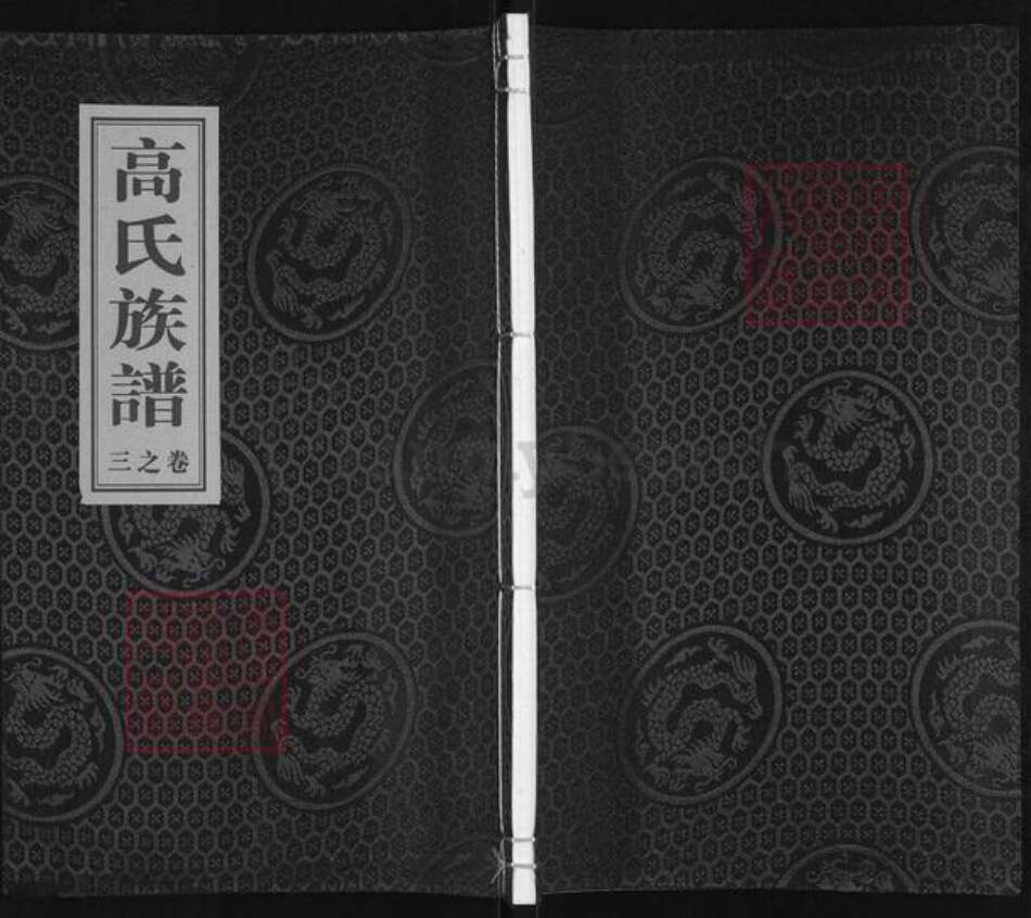 江苏省泰州市泰兴市济川街道高氏文虎堂族谱-高氏族谱.pdf电子版缩略图