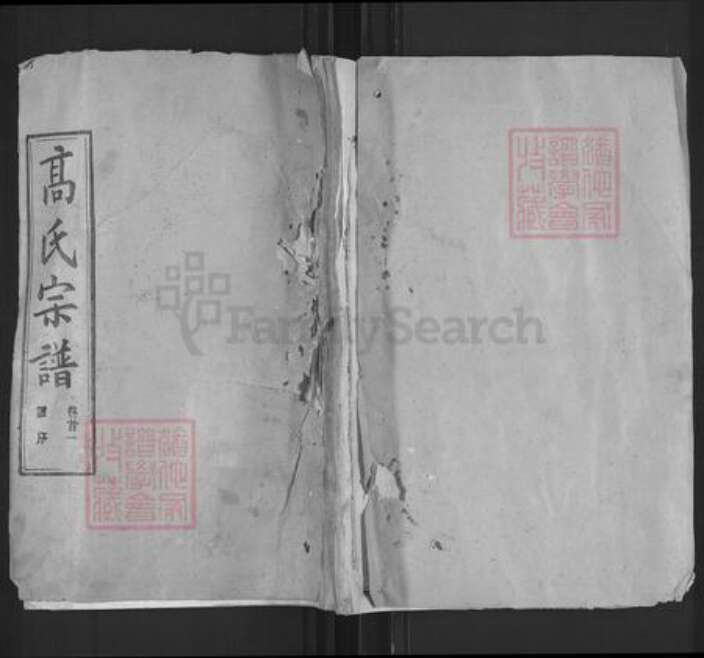 湖北省武汉市新洲区高氏渤海堂族谱-高氏宗谱.pdf电子版缩略图