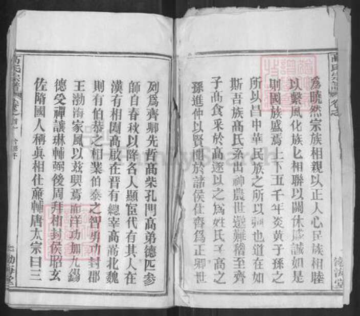 湖北省武汉市新洲区高氏渤海堂族谱-高氏宗谱.pdf电子版预览图2