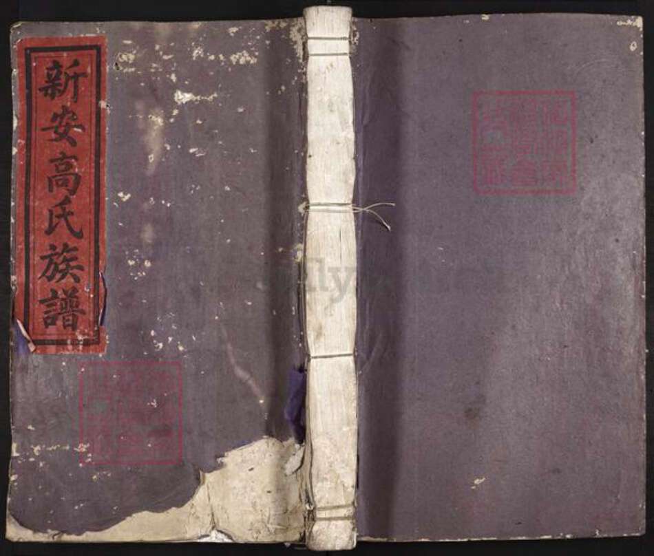 江西省吉安市安福县瓜畬乡高氏族谱-新安高氏族谱.pdf电子版缩略图