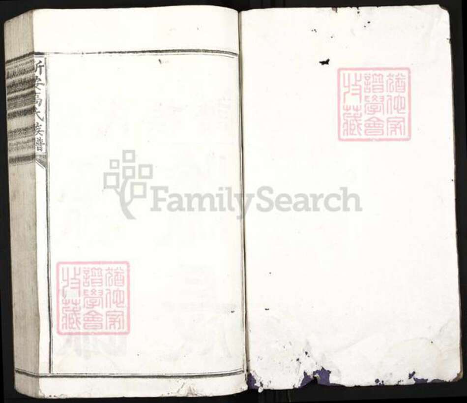 江西省吉安市安福县瓜畬乡高氏族谱-新安高氏族谱.pdf电子版预览图1