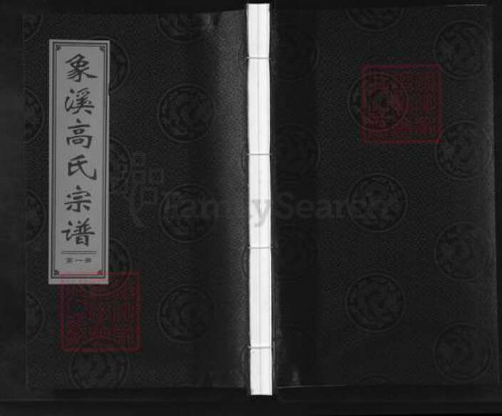 浙江省丽水市松阳县樟溪乡高氏族谱-象溪高氏宗谱.pdf电子版缩略图