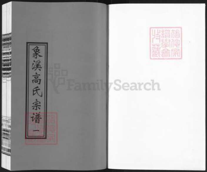 浙江省丽水市松阳县樟溪乡高氏族谱-象溪高氏宗谱.pdf电子版预览图1