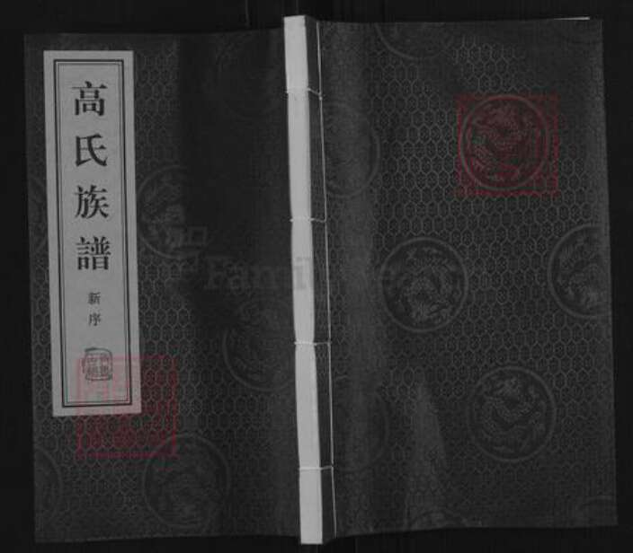 山东省临沂市临沂市高氏族谱-高氏族谱.pdf电子版缩略图