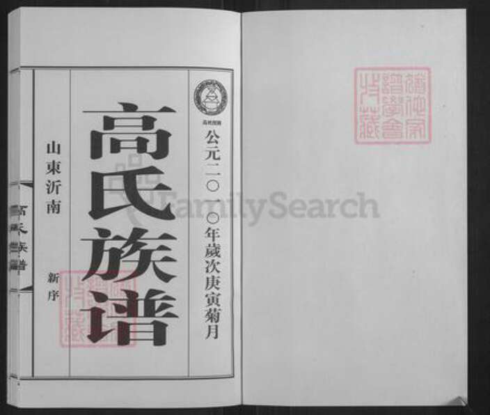 山东省临沂市临沂市高氏族谱-高氏族谱.pdf电子版预览图1