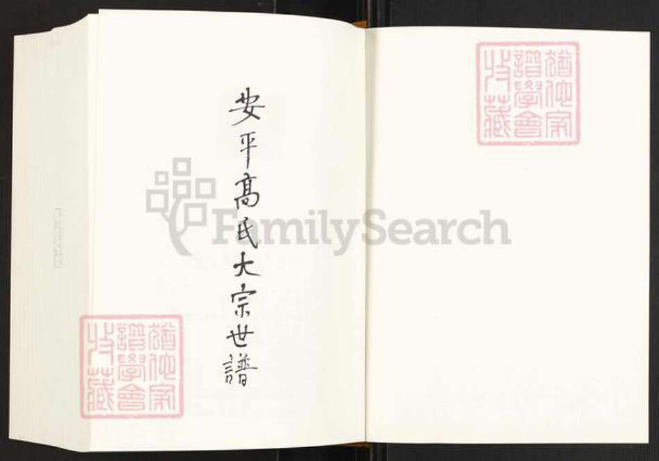 福建省泉州市晋江市安海镇高氏族谱-安平高氏大宗世谱.pdf电子版预览图1