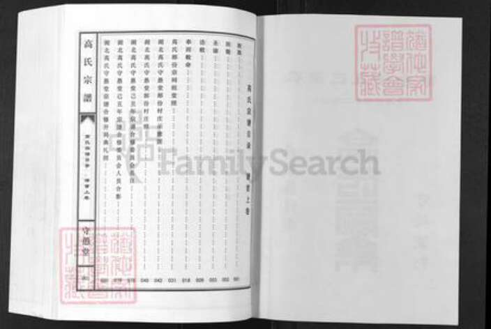 湖北省鄂州市高氏守愚堂族谱-高氏宗谱.pdf电子版预览图2