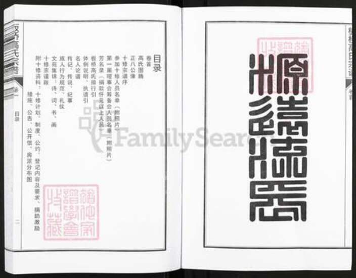 浙江省杭州市临安区区板桥镇高氏族谱-板桥高氏宗谱.pdf电子版预览图3