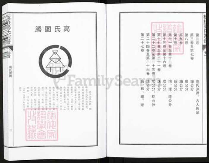 浙江省杭州市临安区区板桥镇高氏族谱-板桥高氏宗谱.pdf电子版预览图4