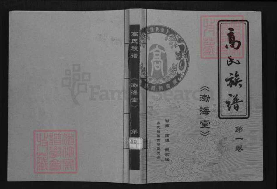 湖南省常德市临澧县高氏渤海堂族谱-高氏族谱.pdf电子版缩略图