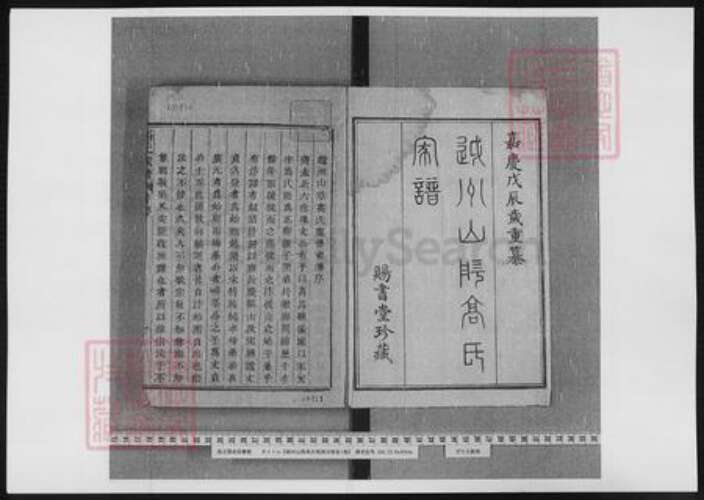 浙江省绍兴高氏族谱-越州山阴高氏家谱.pdf电子版预览图2