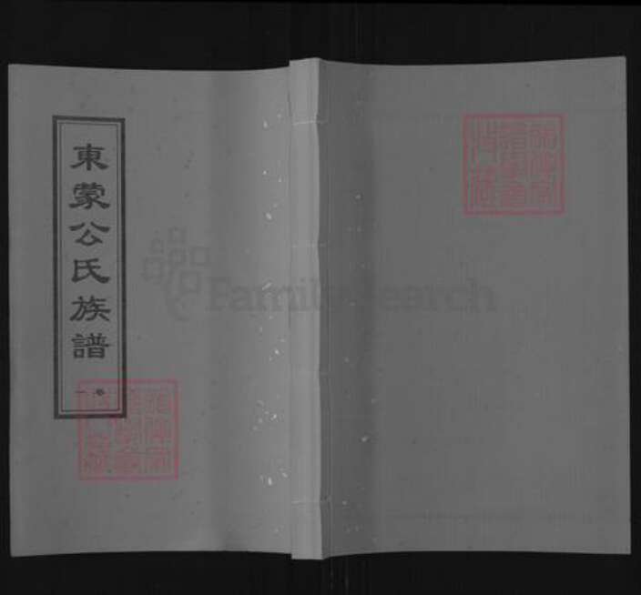 山东省临沂市蒙阴县野店镇公氏族谱-东蒙公氏族谱.pdf电子版