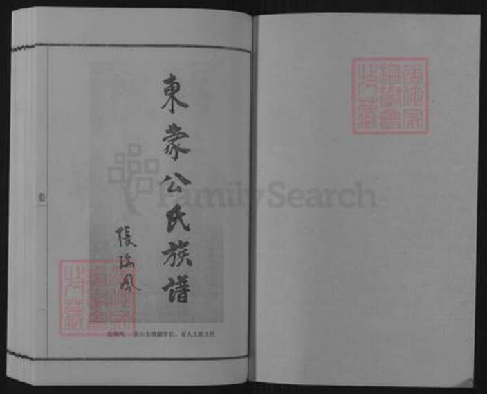 山东省临沂市蒙阴县野店镇公氏族谱-东蒙公氏族谱.pdf电子版预览图1