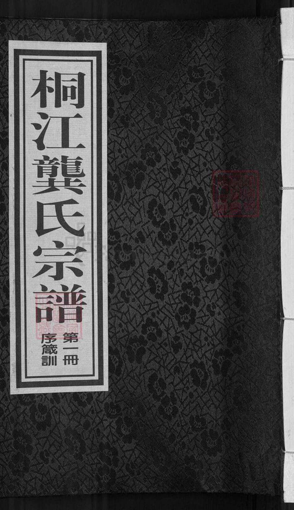 浙江省杭州市桐庐县县江南镇龚氏族谱-桐江龚氏宗谱.pdf电子版缩略图