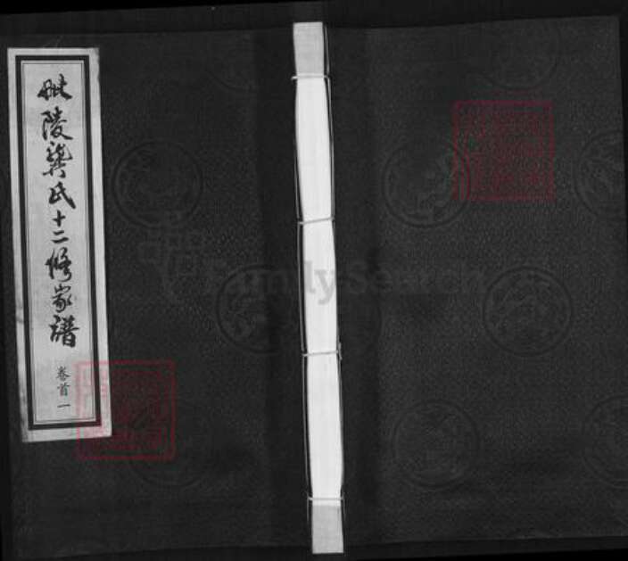 江西省宜春市樟树市临江镇龚氏族谱-毗陵龚氏十二修家谱.pdf电子版缩略图