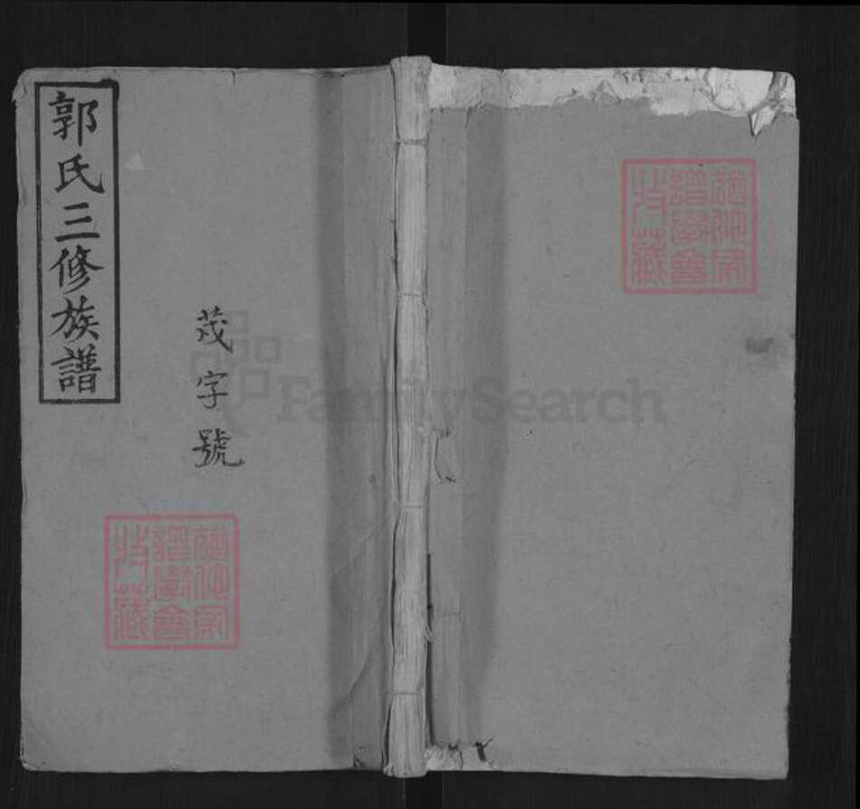 江西省宜春市袁州区郭氏汾阳堂族谱-浏阳小湖塘郭氏族谱.pdf电子版缩略图