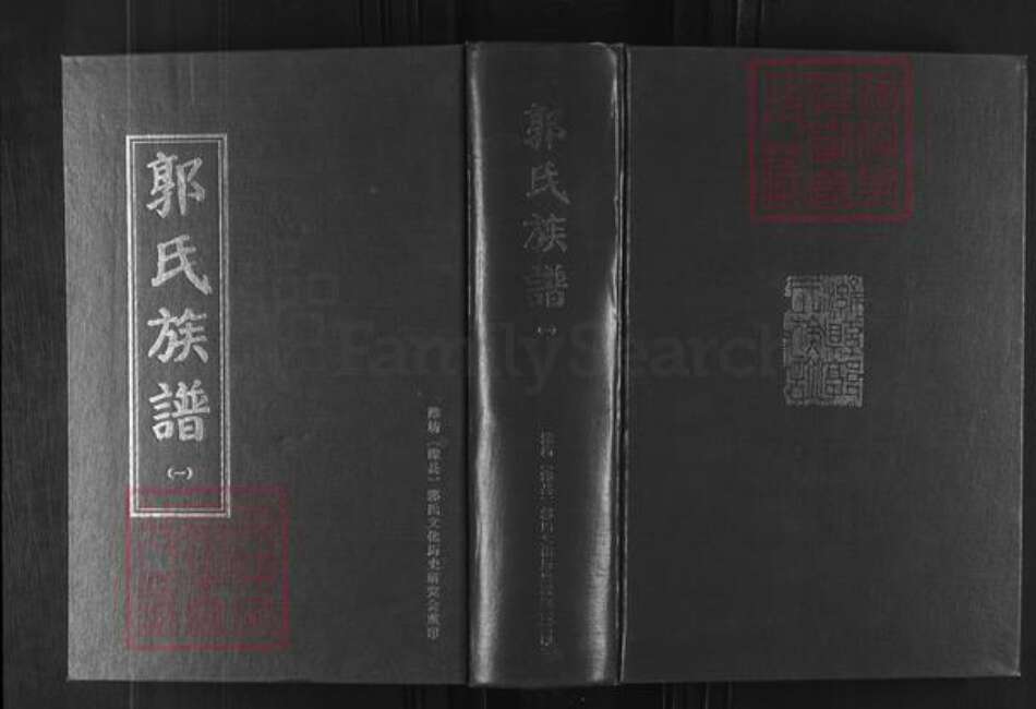 山东省潍坊市郭氏族谱-郭氏族谱.pdf电子版缩略图