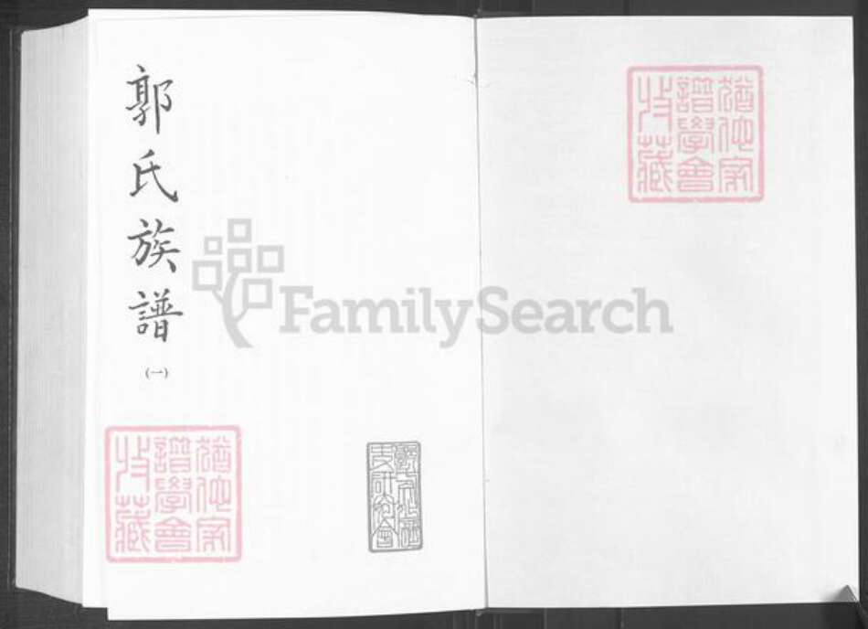 山东省潍坊市郭氏族谱-郭氏族谱.pdf电子版预览图1