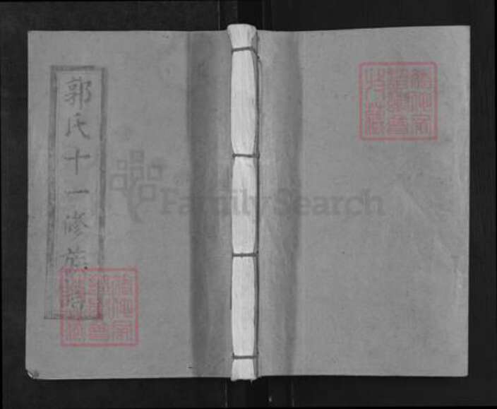 江西省赣州市宁都县黄石镇郭氏族谱-宁都潢村郭氏十一修族谱.pdf电子版缩略图