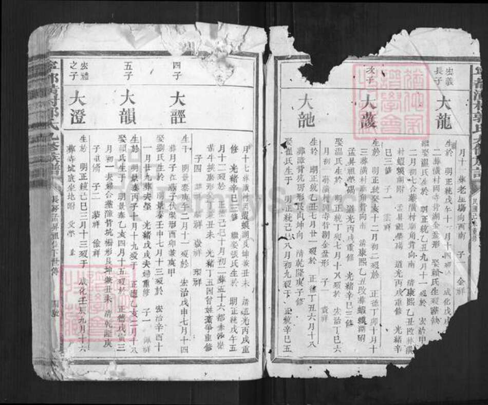 江西省赣州市宁都县郭氏族谱-宁都潢村郭氏九修族谱[不分卷].pdf电子版预览图1