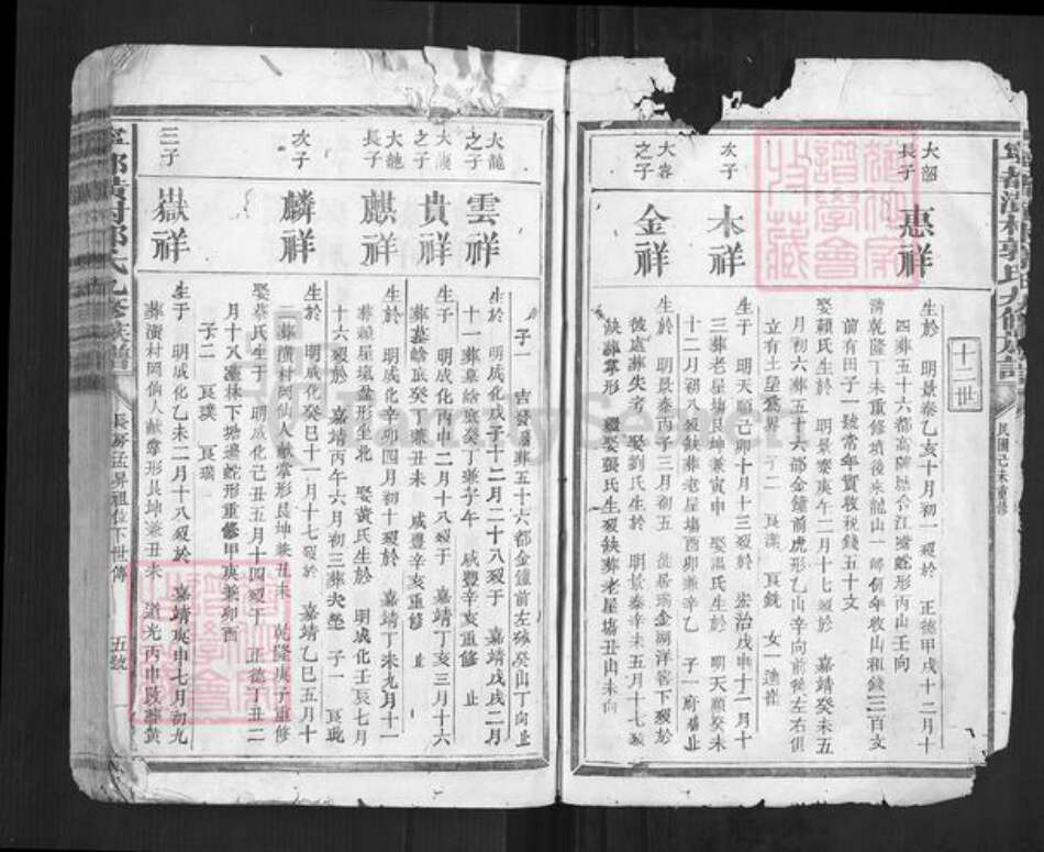 江西省赣州市宁都县郭氏族谱-宁都潢村郭氏九修族谱[不分卷].pdf电子版预览图2