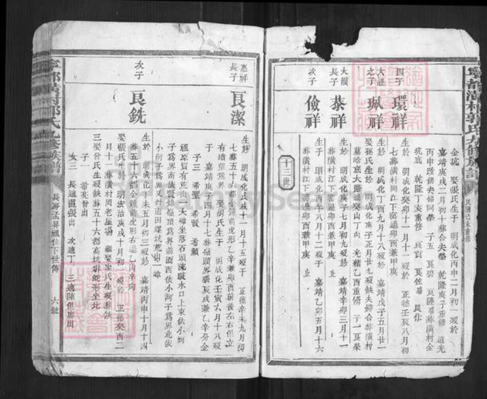 江西省赣州市宁都县郭氏族谱-宁都潢村郭氏九修族谱[不分卷].pdf电子版预览图3