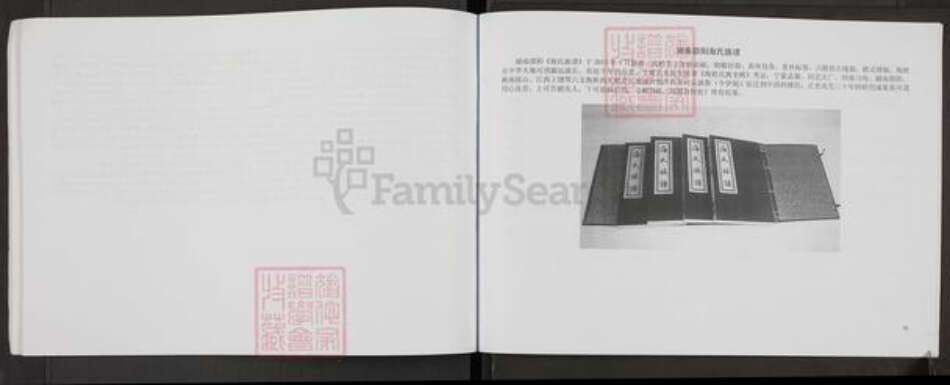 河南省郑州市中原区海氏族谱-回族海湾村海氏家谱.pdf电子版预览图5