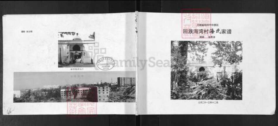 河南省郑州市中原区海氏族谱-河南省郑州市中原区回族海湾村海氏家谱.pdf电子版