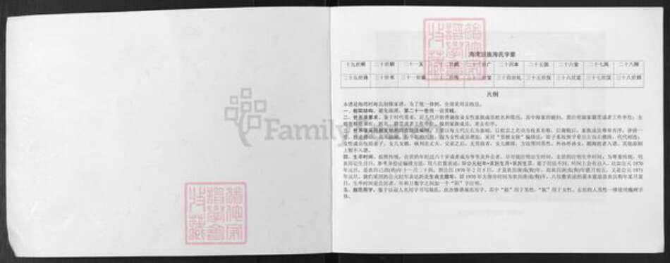 河南省郑州市中原区海氏族谱-河南省郑州市中原区回族海湾村海氏家谱.pdf电子版预览图1