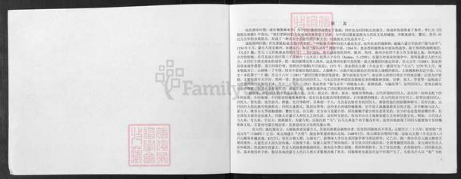 河南省郑州市中原区海氏族谱-河南省郑州市中原区回族海湾村海氏家谱.pdf电子版预览图4