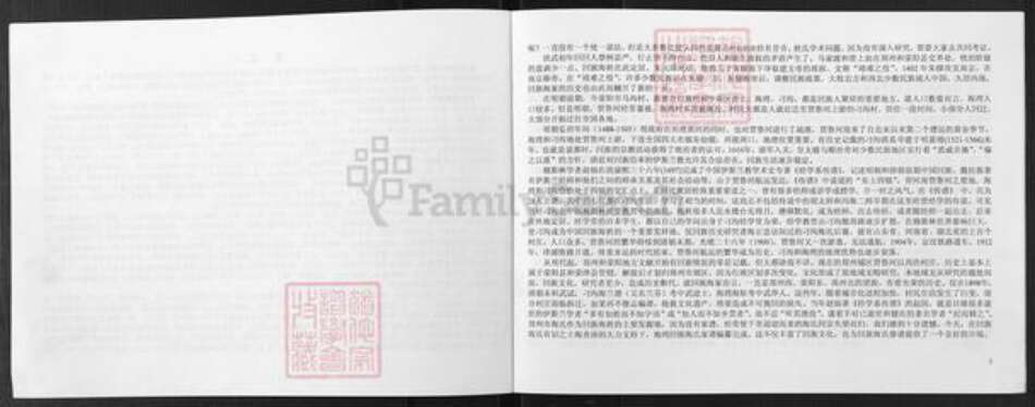 河南省郑州市中原区海氏族谱-河南省郑州市中原区回族海湾村海氏家谱.pdf电子版预览图5