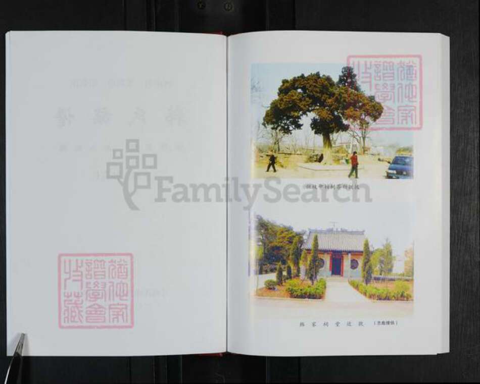 河南省郑州市登封市韩氏族谱-韩氏族谱.pdf电子版预览图2