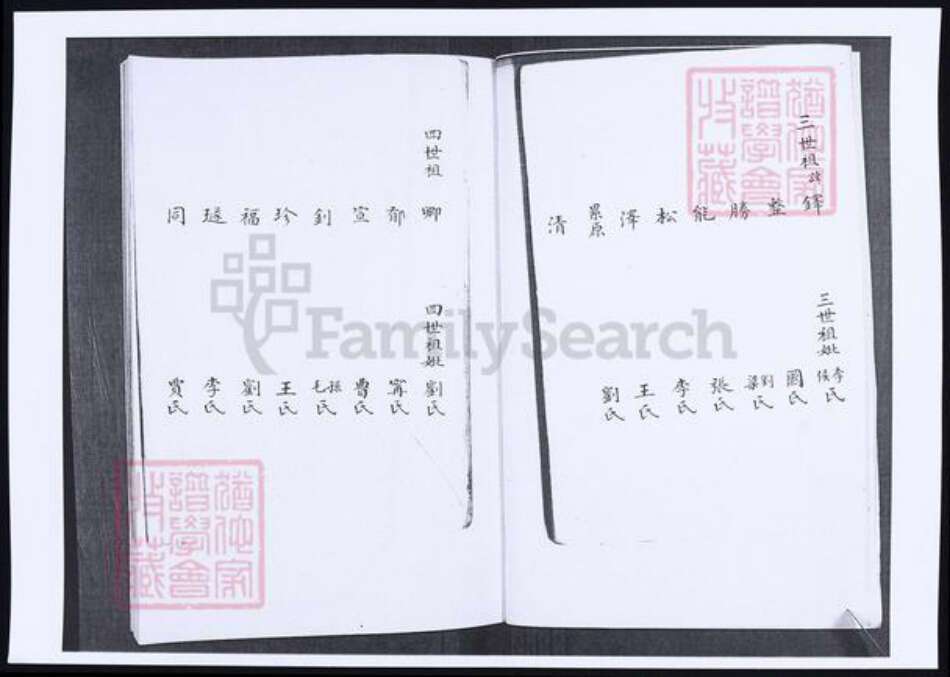 山东省青岛市韩氏族谱-韩氏支谱.pdf电子版预览图4