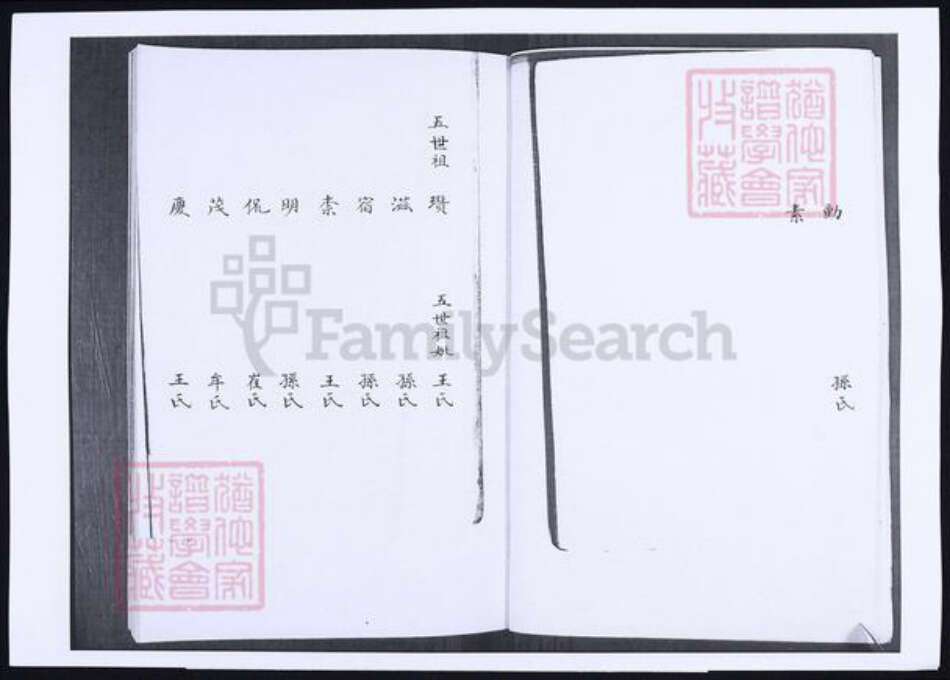 山东省青岛市韩氏族谱-韩氏支谱.pdf电子版预览图5