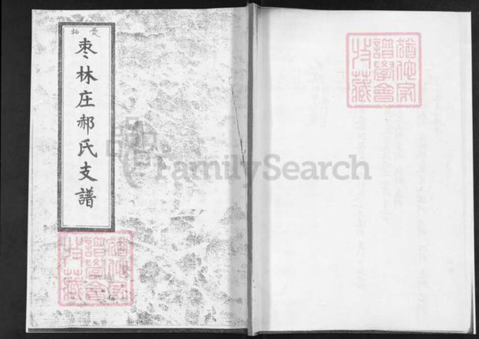 山东省烟台市栖霞市松山街道郝氏族谱-栖霞枣林庄郝氏支谱.pdf电子版缩略图