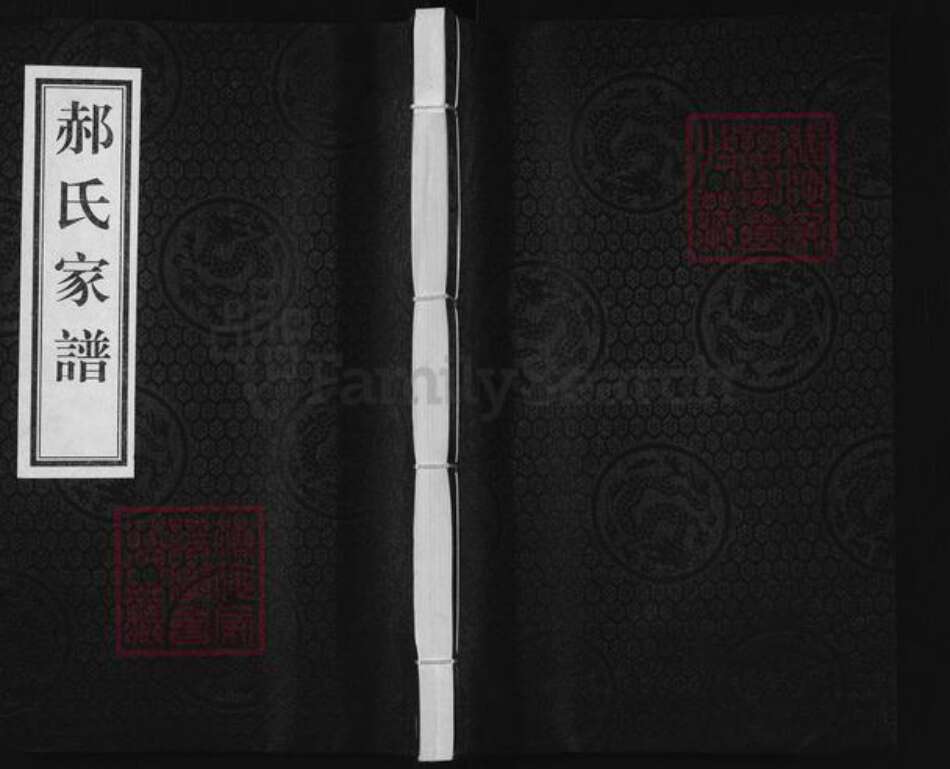 河北省沧州沧州地区东光郝氏敦睦堂族谱-郝氏家谱.pdf电子版缩略图