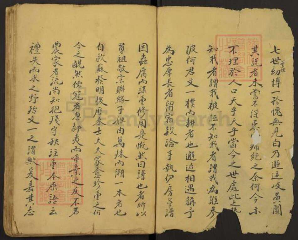 江西省吉安市吉水县何氏族谱-Missing Title.pdf电子版预览图2