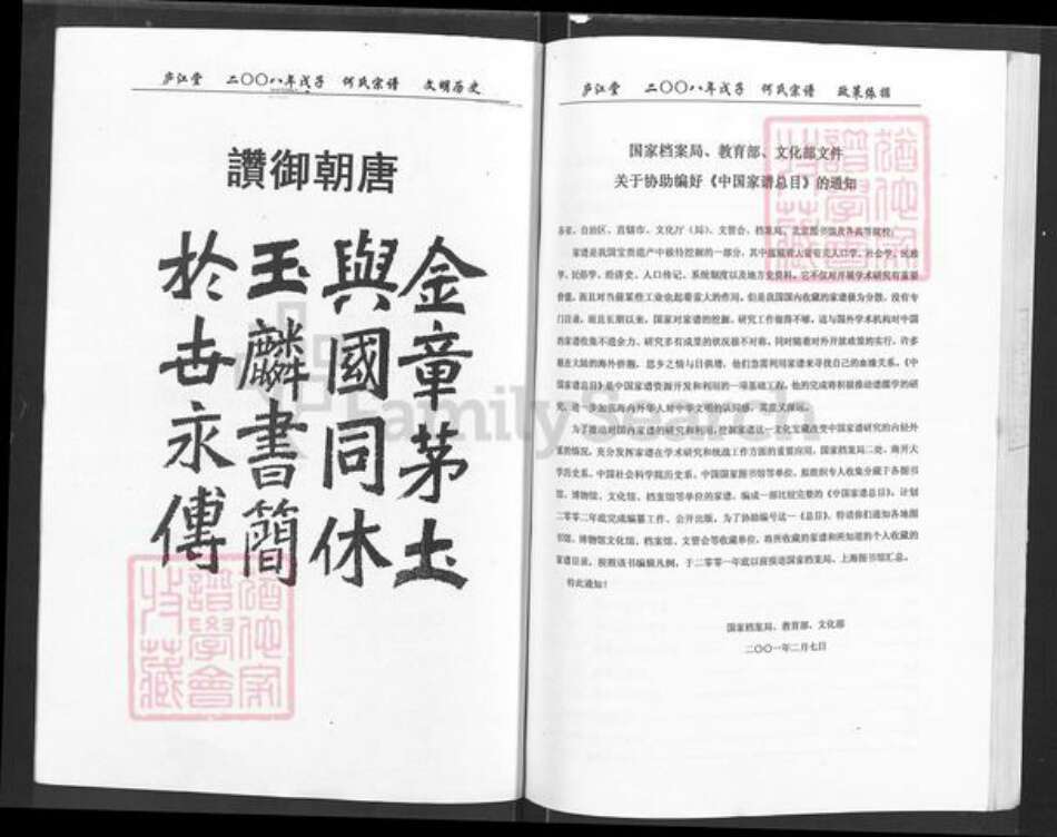 湖北省咸宁市通城县麦市镇何氏庐江堂族谱-何氏族谱.pdf电子版预览图2