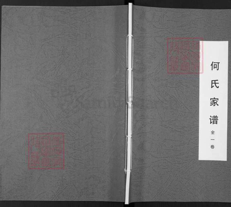 湖北省宜昌市枝江市仙女镇何氏族谱-何氏家谱.pdf电子版缩略图
