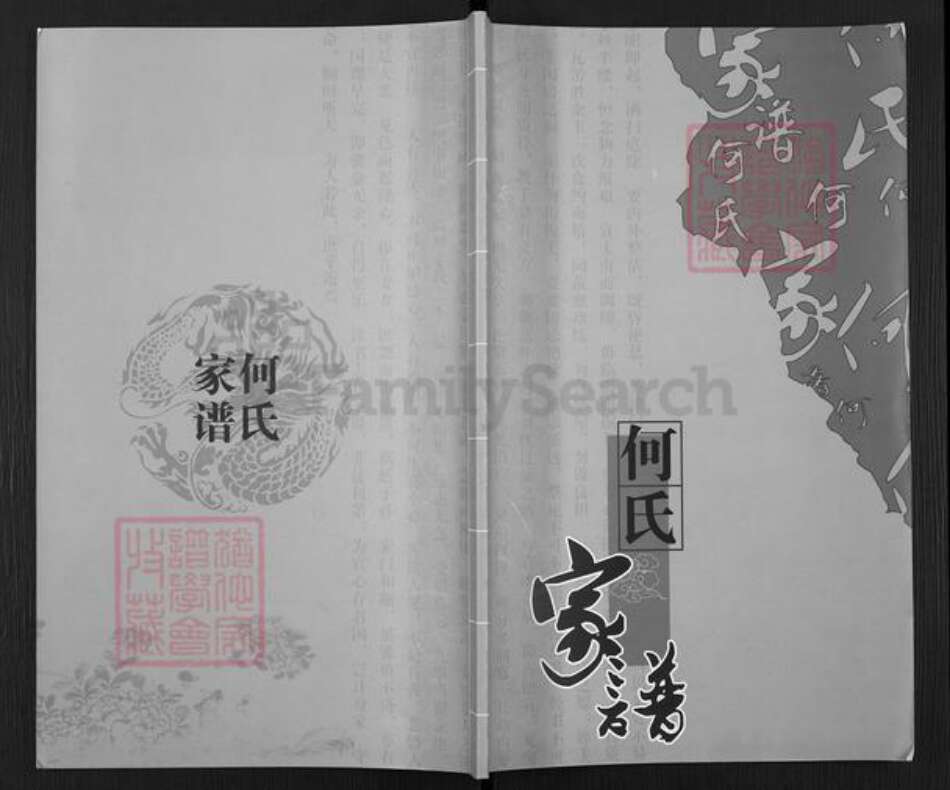 广西壮族自治区贺州平桂区黄田镇何氏族谱-何氏家谱.pdf电子版缩略图