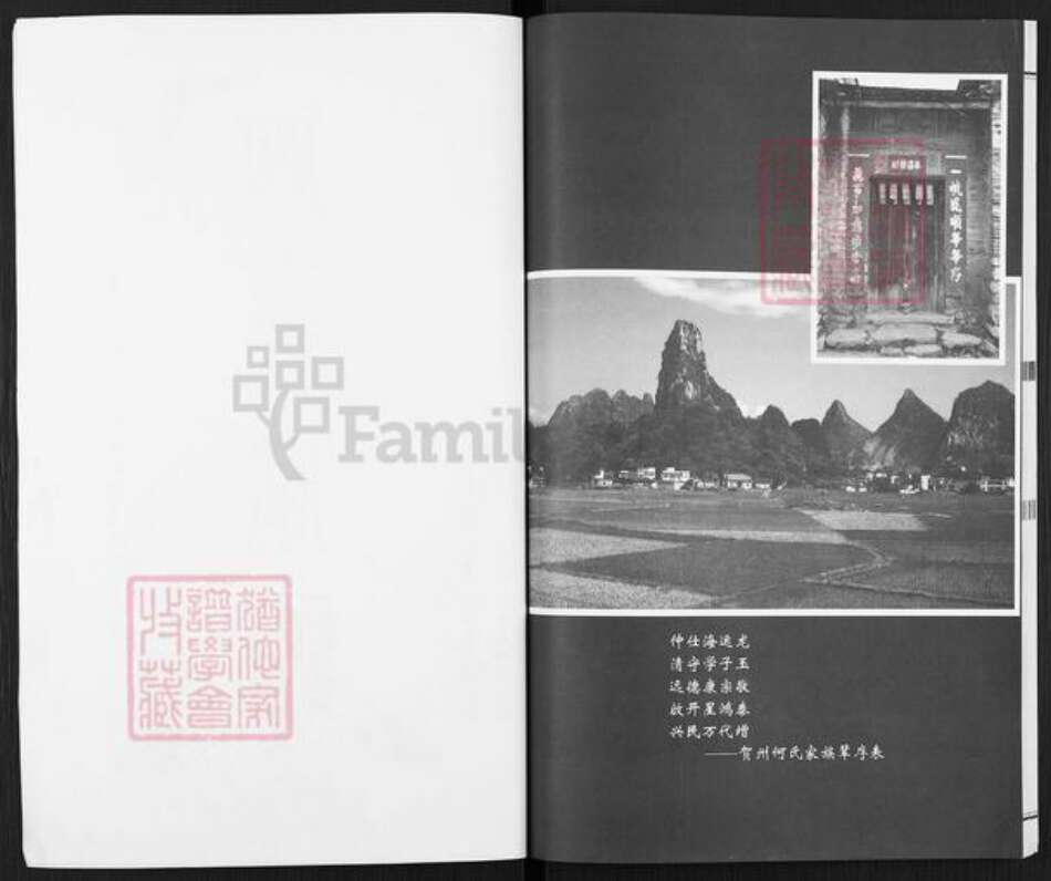 广西壮族自治区贺州平桂区黄田镇何氏族谱-何氏家谱.pdf电子版预览图2