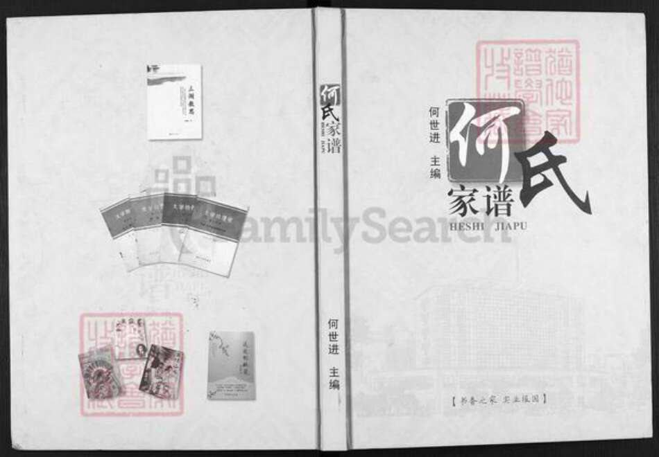 四川省达州市开江县普安镇何氏族谱-何氏家谱.pdf电子版缩略图