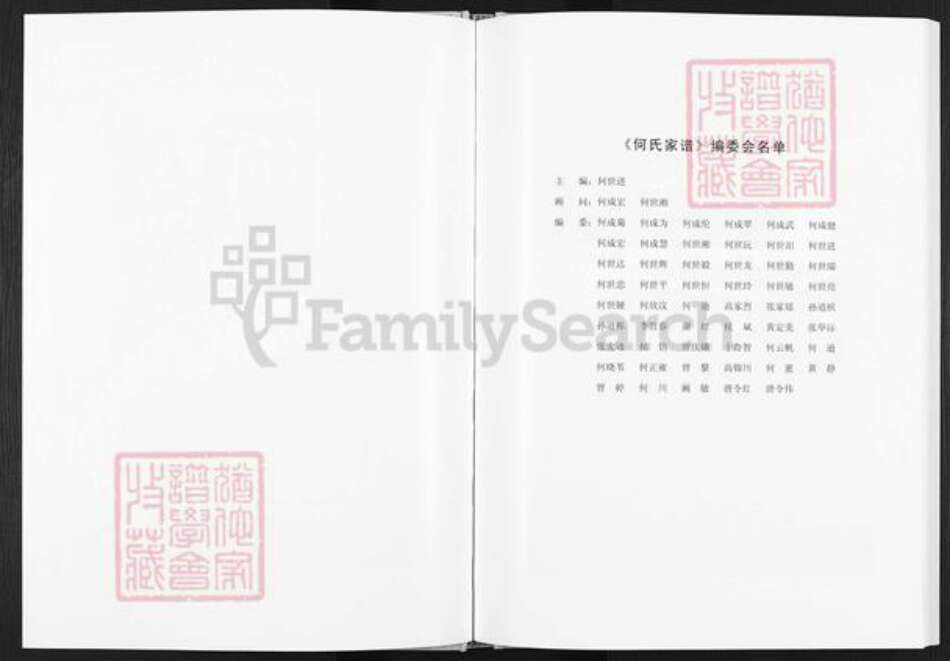 四川省达州市开江县普安镇何氏族谱-何氏家谱.pdf电子版预览图2