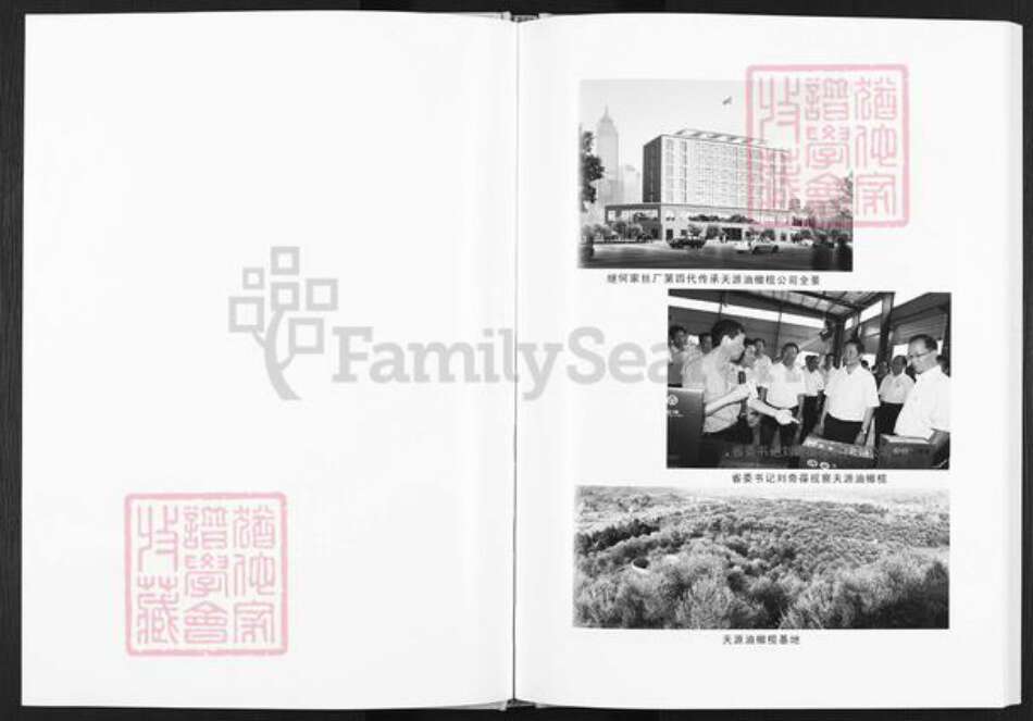 四川省达州市开江县普安镇何氏族谱-何氏家谱.pdf电子版预览图3