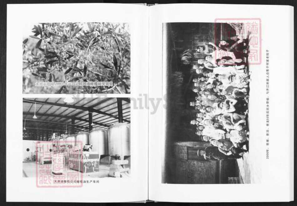 四川省达州市开江县普安镇何氏族谱-何氏家谱.pdf电子版预览图4