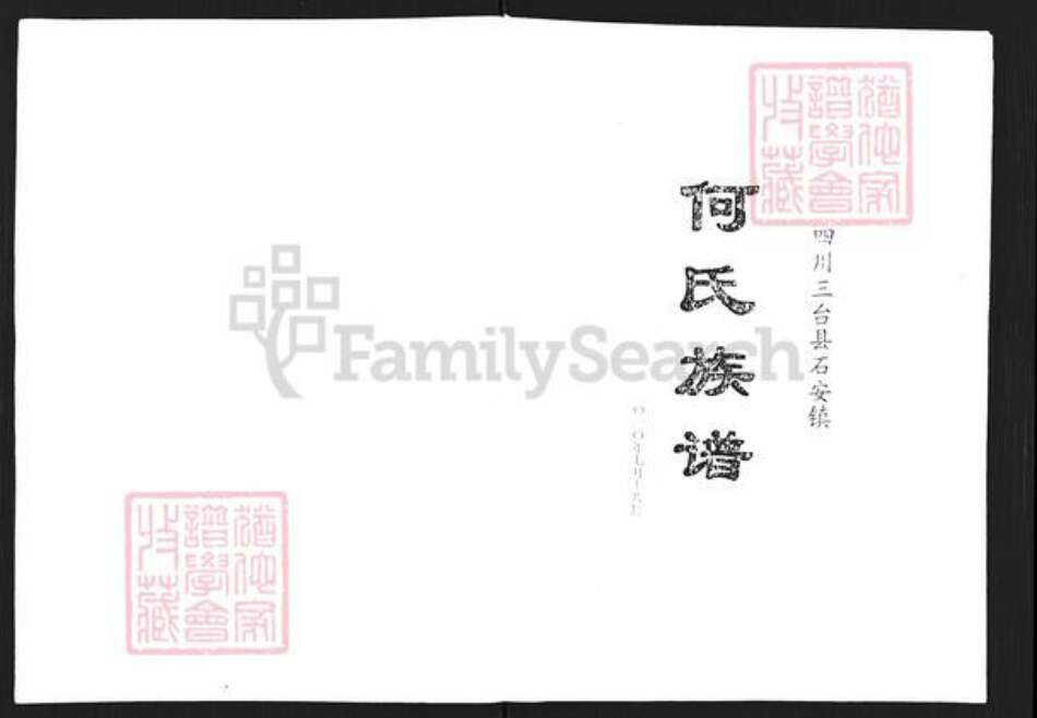 四川省绵阳市三台县石安镇何氏族谱-何氏族谱.pdf电子版缩略图