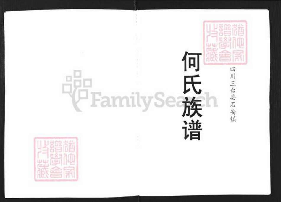 四川省绵阳市三台县石安镇何氏族谱-何氏族谱.pdf电子版预览图1